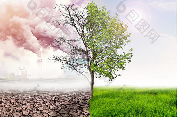 比较人类活动、glbal变暖概念、绿色树木和绿色地球以及干旱土地对绿色地球和空气污染的影响