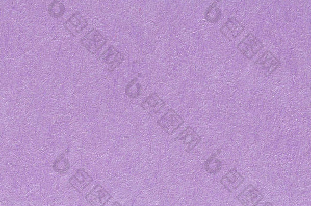 特写<strong>浅紫</strong>色纸背景，适合您独特的项目。