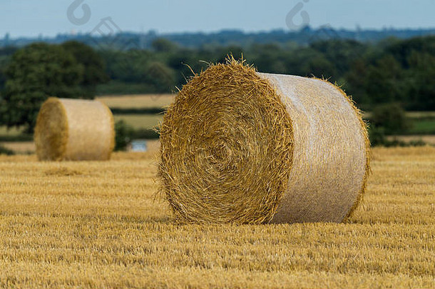 大金轮圆柱麦片稻草包绑定网风景优美的农场场收获惠克斯利北约克郡英格兰