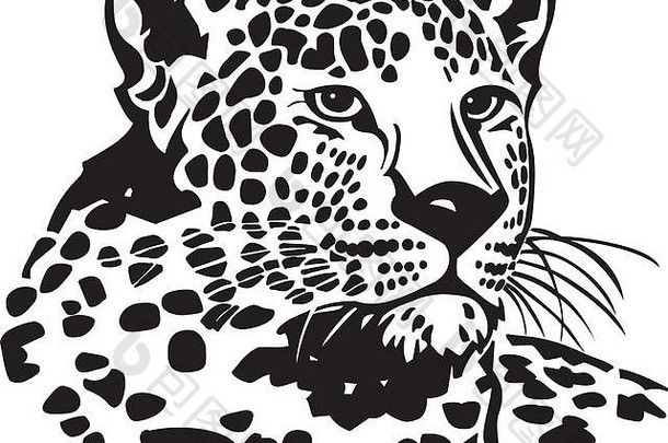 豹纹插图