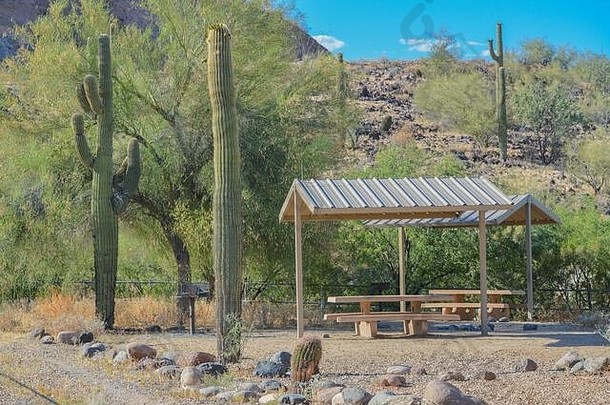 在普莱森特湖地区公园，野餐区配有野餐桌和<strong>烧烤</strong>。美国亚利桑那州索诺兰沙漠