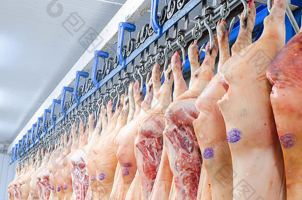 肉工厂猪肉挂钩子猪肉尸体车间屠夫工业处理猪肉屠夫
