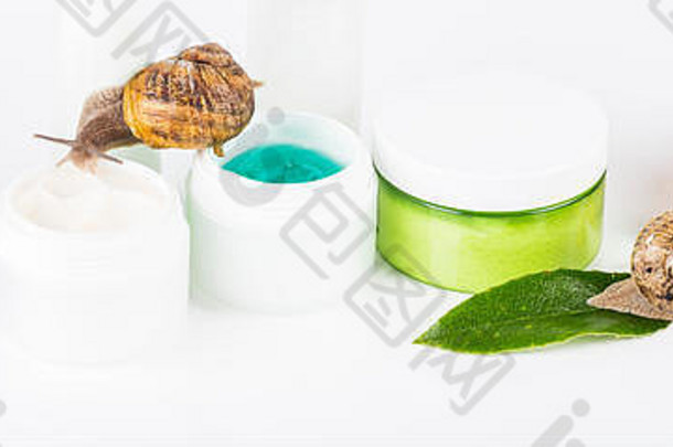 有机化妆品由蜗牛制成，在欧洲对皮肤、健康和时尚非常有益。一罐奶油、凝胶、棕色药瓶和药片