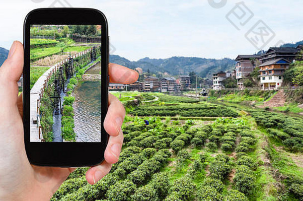 旅行概念旅游照片灌溉运河茶种植园sanjiang盾自治县中国春天智能手机