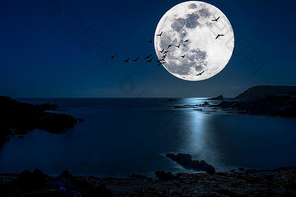 海上的美丽夜晚，月光映在水面上