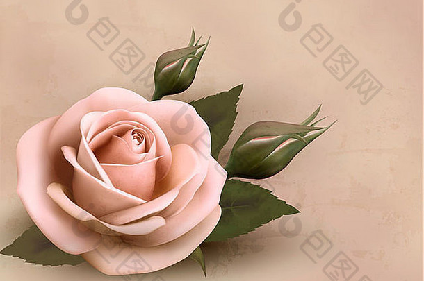 复古的背景与美丽的粉红玫瑰芽。
