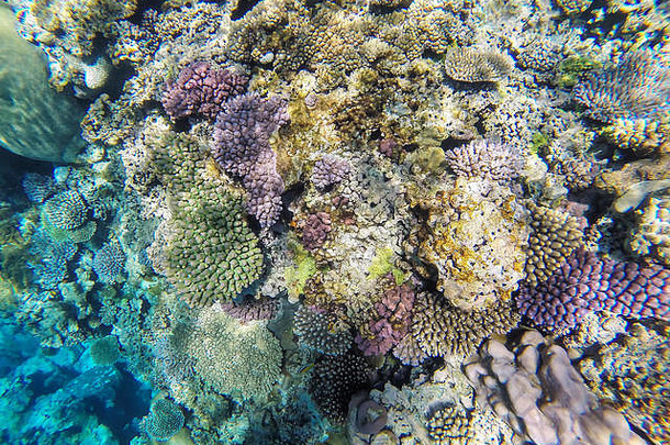 新喀里多尼亚洛亚蒂群岛乌韦亚泻湖吉岛海岸的珊瑚礁。该泻湖于2008年被联合国教科文组织列为世界遗产。