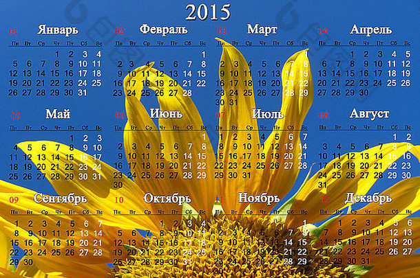 俄罗斯2015年办公室日历，大黄向日葵