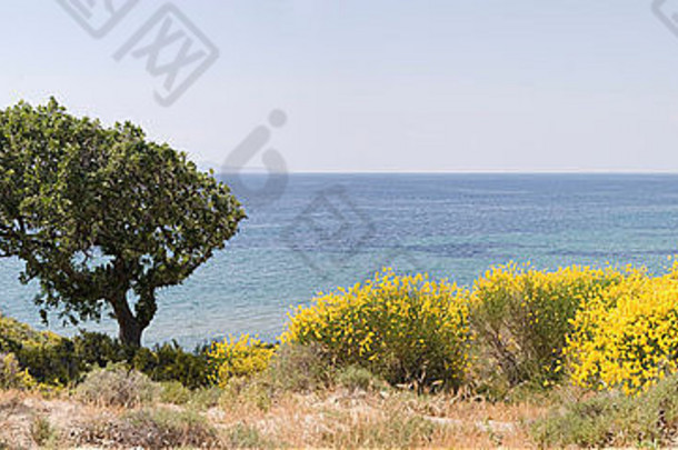 土耳其爱琴海岸特洛伊附近“希腊营地”和海滩全景图