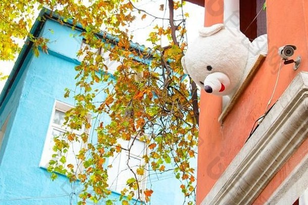 一只白色的大泰迪熊从一栋楼的窗户向外看。粉红色的建筑物。