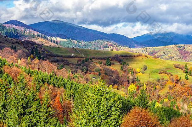 山秋天景观松树谷色彩斑斓的森林山一边喀尔巴阡山脉的山天空云