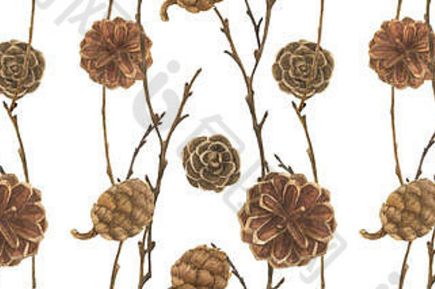 植物水彩。球果和树枝。用于圣诞纺织品和网页设计的木材无缝图案