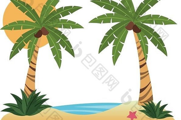 海滩和棕榈树