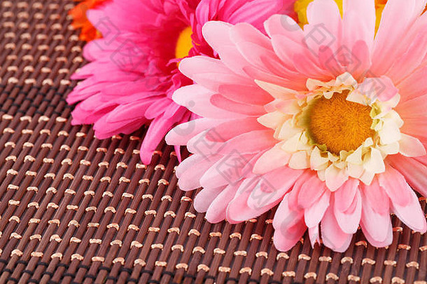 竹子背景上的彩色织物雏菊，特写图片。