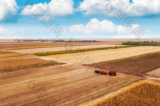 空中视图农业拖拉机预告片培养玉米作物场收获季节无人机观点