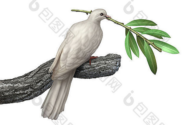 一只鸽子，手持橄榄枝，被隔离在白色背景上，象征着和平与安宁，象征着人类在争取和自由的征途上对未来的希望。