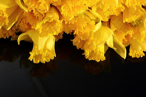 那喀索斯水仙花物种amaryliaceous植物物种自然网站生长野生葡萄牙西班牙