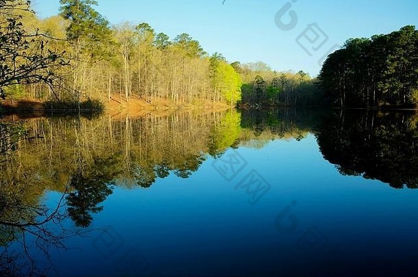 在北卡罗莱纳州罗利市的<strong>惠</strong>勒湖公园，一个清爽的春天早晨，辛普金斯池塘的美景。树木和天空的晶莹倒影