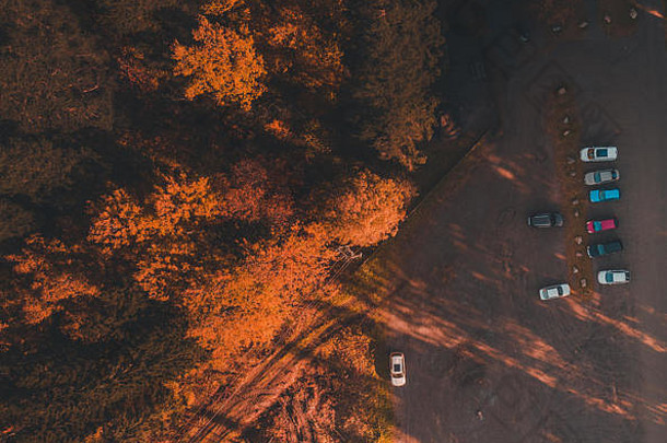 芬兰，秋天，当太阳下山时，从森林边的一个砾石停车场的空中俯瞰