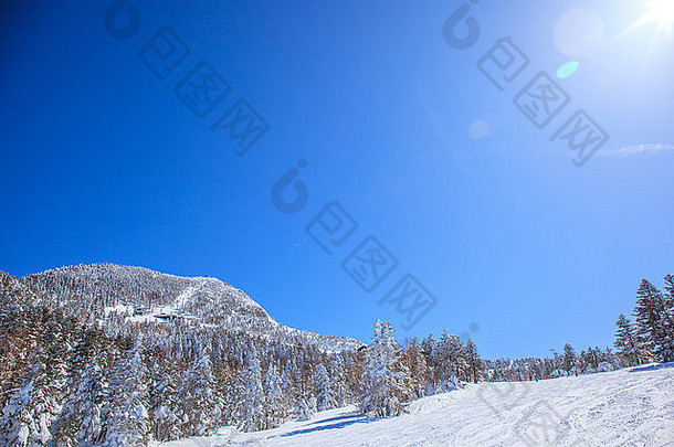 日本长野志贺高地横河山滑雪场