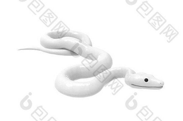 在白色空背景上孤立的蛇的3d渲染。