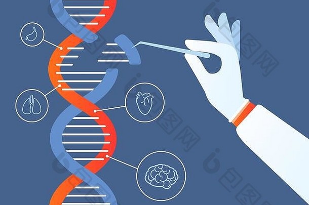 Dna工程。基因组crispr cas9，基因突变代码修改。人类生物化学和染色体研究的载体概念。基因工程插图，基因突变代码