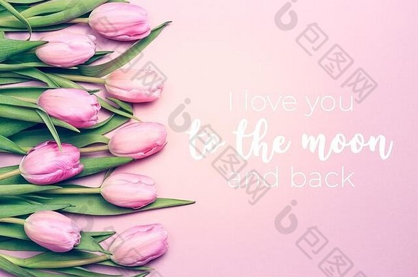 我爱你到月亮和背面的文字与粉红色郁金香在粉红色的背景。平面布置，俯视图。情人节和母亲节背景。水平，左侧有花
