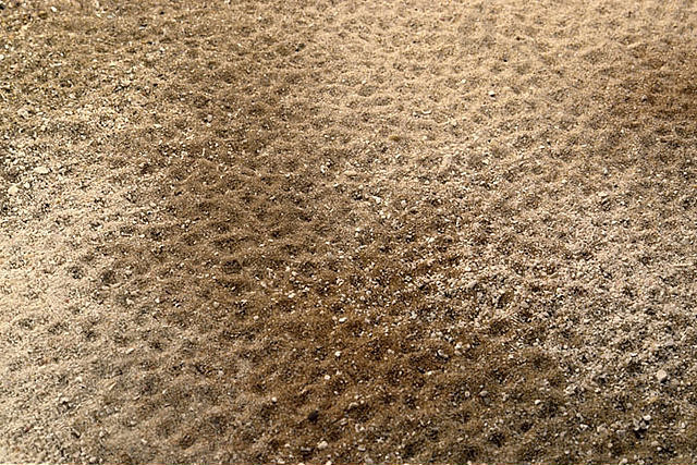 沙子;颗粒;地面;饱满的框架;粗糙的;特