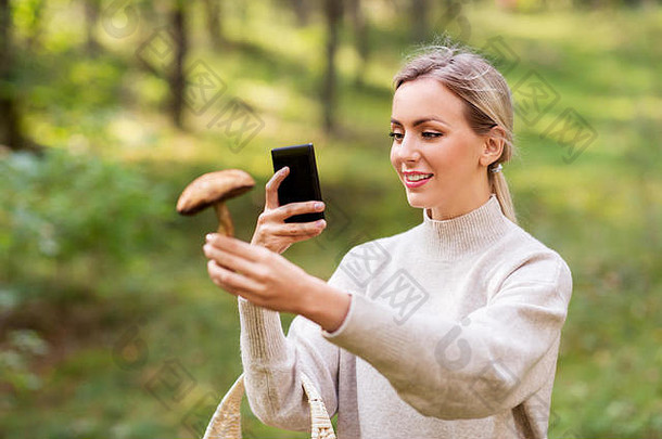 女人智能手机识别蘑菇