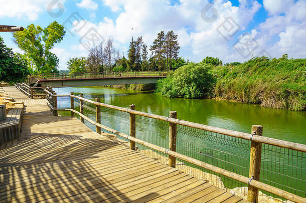 纳哈尔亚历山大（亚历山大溪）自然保护区和海龟桥。以色列