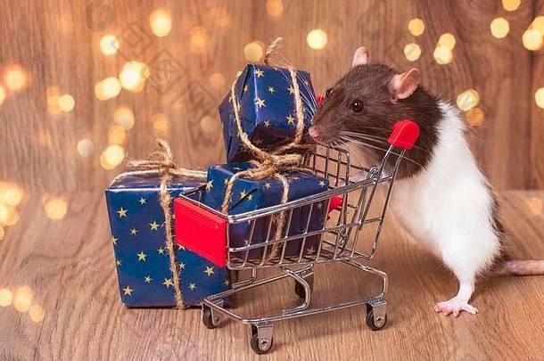 一只可爱的老<strong>鼠</strong>站在购物车旁，手里拿着圣诞节或新<strong>年</strong>礼物。<strong>2020年</strong>的象征。<strong>鼠年</strong>。新<strong>年</strong>购物概念。
