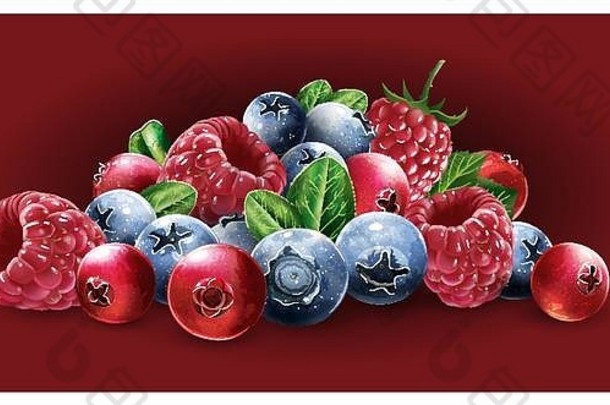 覆盆子、小红莓、<strong>蓝莓</strong>和草莓