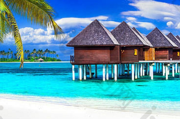 天堂热带假日-异国情调放松马尔代夫群岛。水景别墅