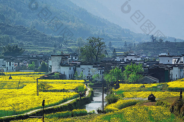 中国江西省婺源县的乡村景观。