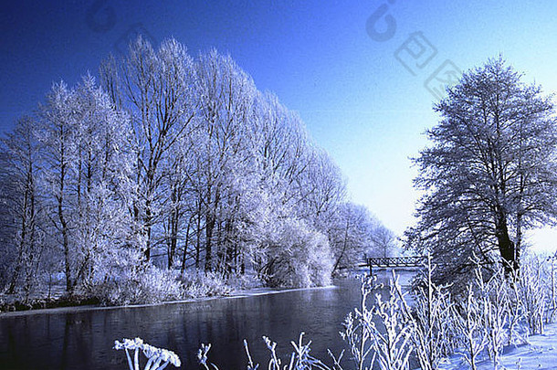 冬季景观风景树雪冰冰雪覆盖冬季天气冬季<strong>时间</strong>白霜深雪覆盖sn