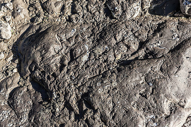 许多卵石上覆盖着干泥