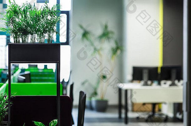 办公室内部有绿色植物，有利于员工的大脑活动