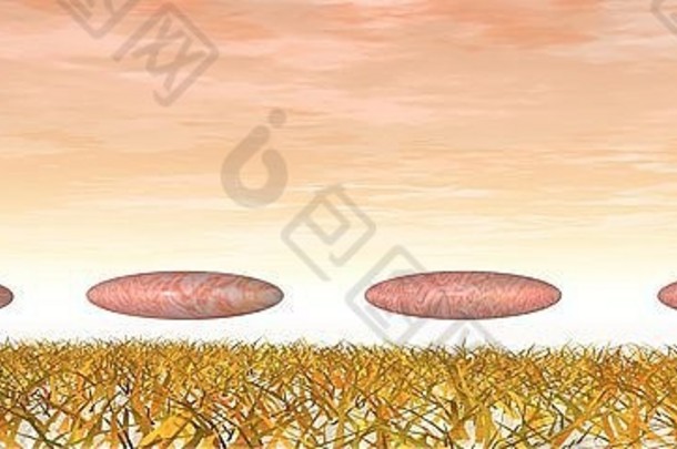 草上的四颗鹅卵石，粉红色背景