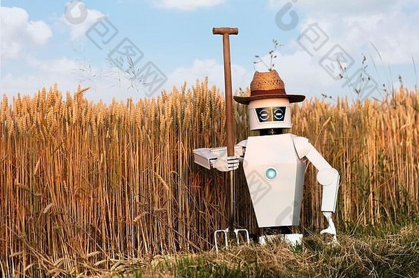 带着干草叉的机器人农夫站在玉米地前，这些概念像农业中的技术或农业中的自主人工智能机器人