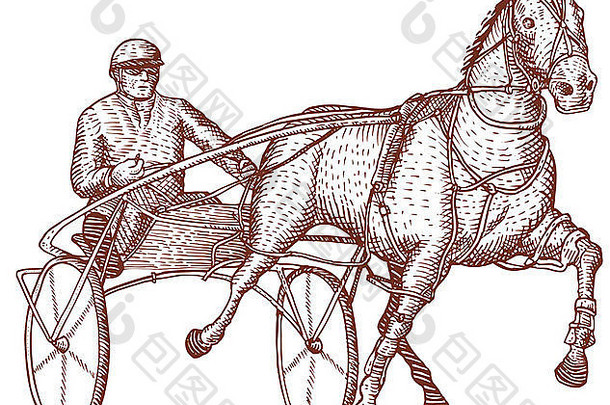 以复古风格制作的马和骑师马具在孤立的白色背景上比赛的插图。