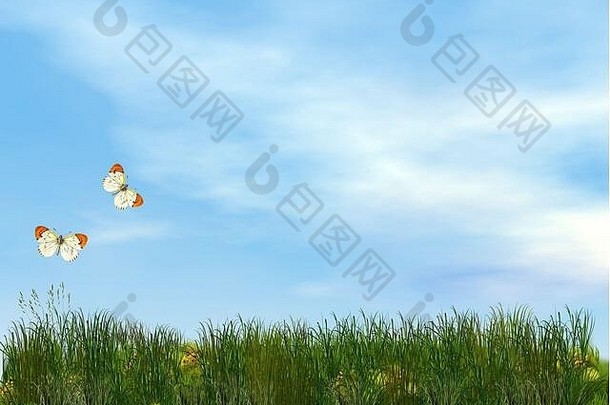 两只蝴蝶在美丽的草地上飞舞-3D渲染