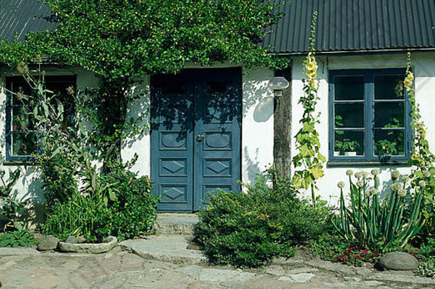 传统的瑞典白色房子，蓝色雕刻的双门上有攀缘植物