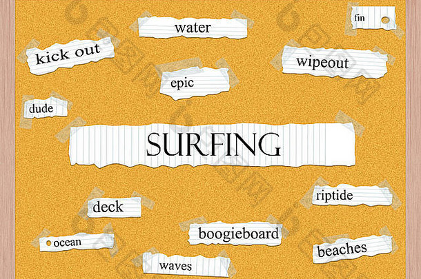 冲浪软木板的概念，如刮水，鳍，水等伟大的术语。