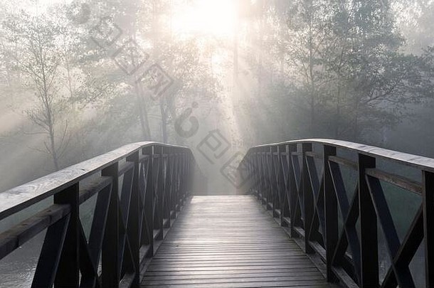 日出在古老的木桥上，背景是树木和阳光，瑞典