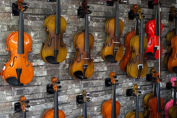音乐商店里挂在墙上的小提琴。许多木制小提琴