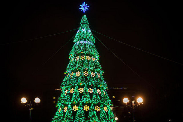 冬天，街道上有一棵巨大的圣诞树，树上有明亮的花环和星光。白俄罗斯戈麦尔市霍利德节装饰