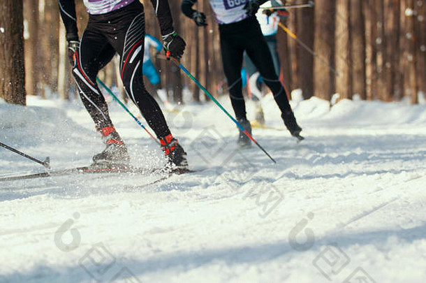 滑雪比赛-运动员在阳光明媚的雪林中奔跑的双腿