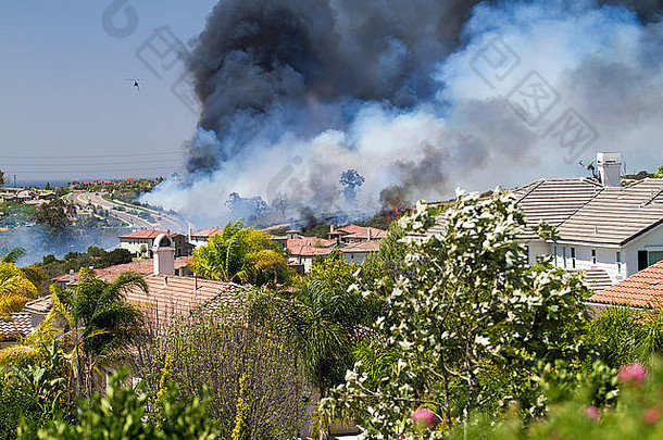 加利福尼亚州圣地亚哥一住宅区发生灌木丛火灾