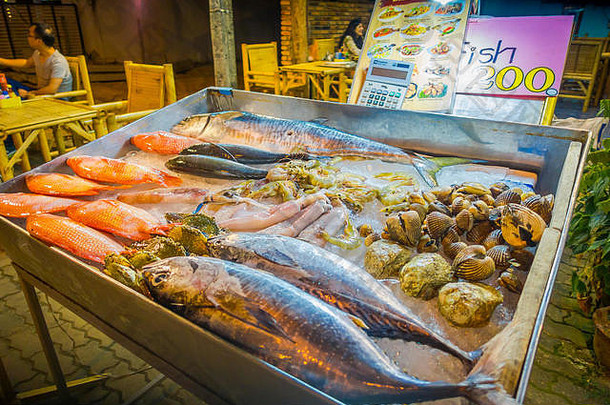 澳南Nopparat Thara路街头食品店的金属托盘上，各种海洋动物、鱼、贝壳、鱿鱼、螃蟹的特写镜头