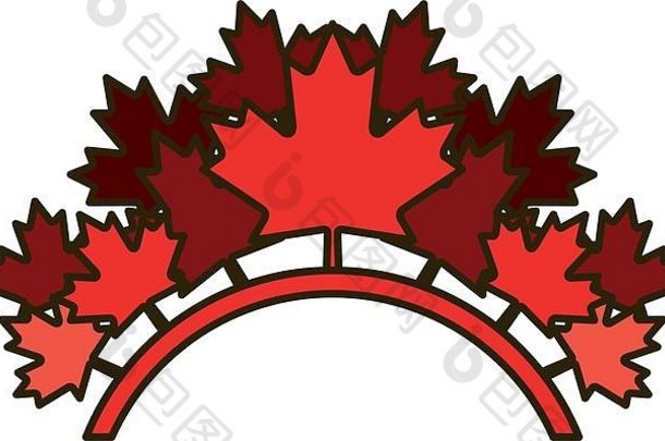 加拿大枫叶设计